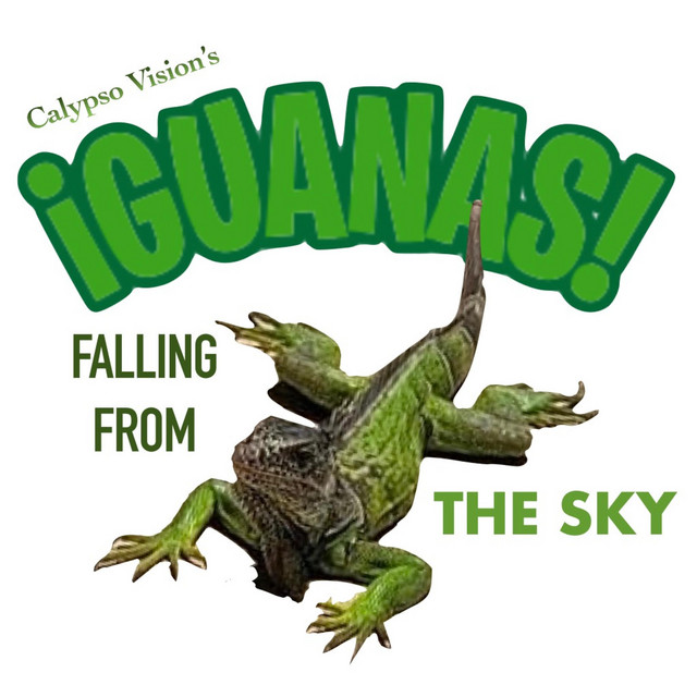 Calypso Vision - Iguanas Falling From the Sky